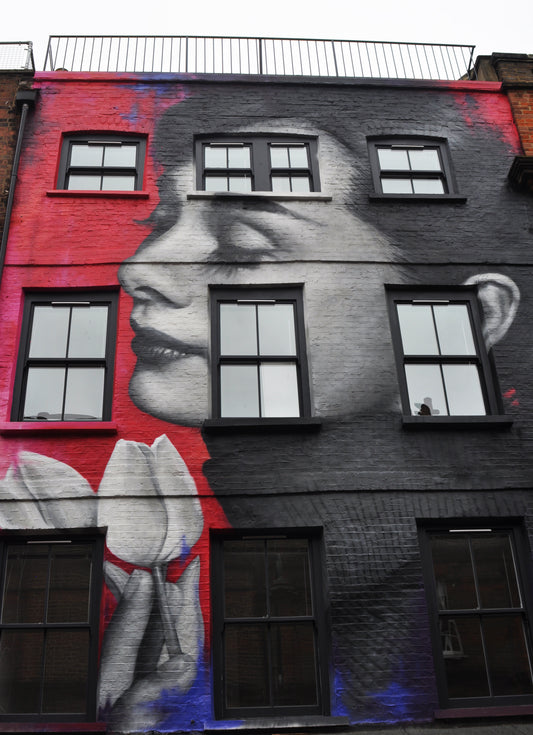 Audrey Hepburn - House Street Art @ Brick Lane - Print