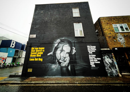 Lana Del Rey - Did You Know That There's A Tunnel Under Ocean Blvd Street Art @ Camden Town - Print 02